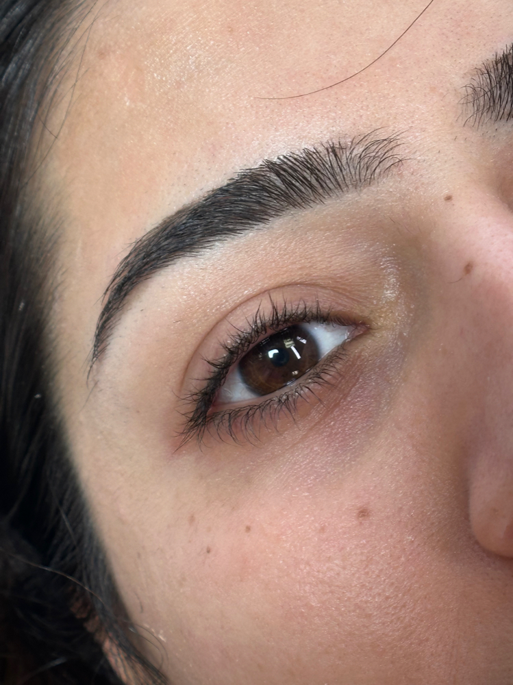 Brow Lamination + Wax