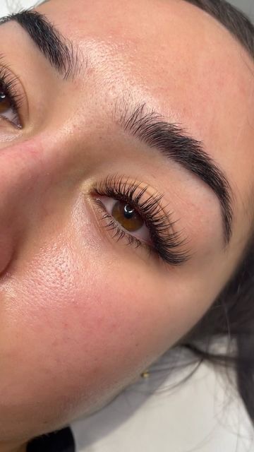 Hybrid Lash Fill