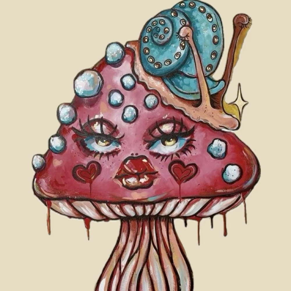 Hybrid 2 Week Fill at trippalash in Boulder, CO