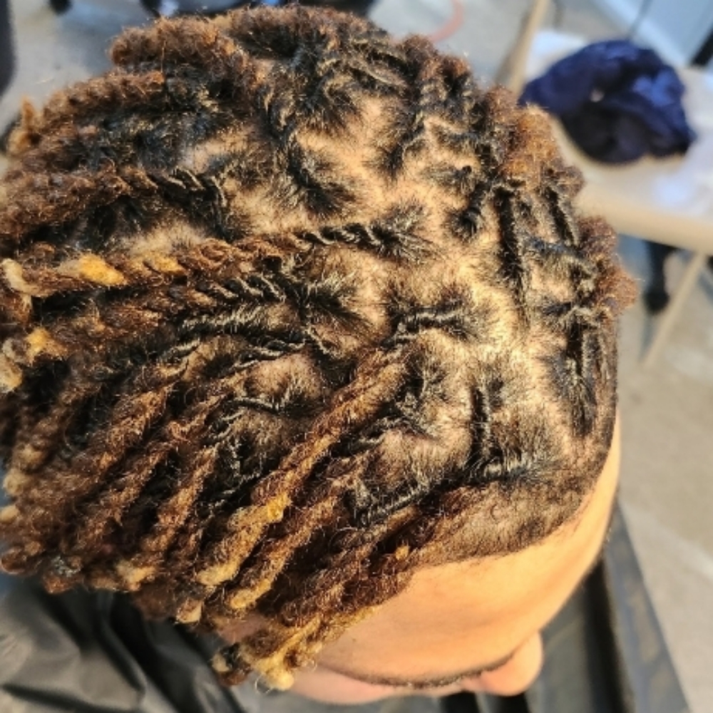Starting Locs at Royalty Envision Salon&spa llc in Tobyhanna, PA
