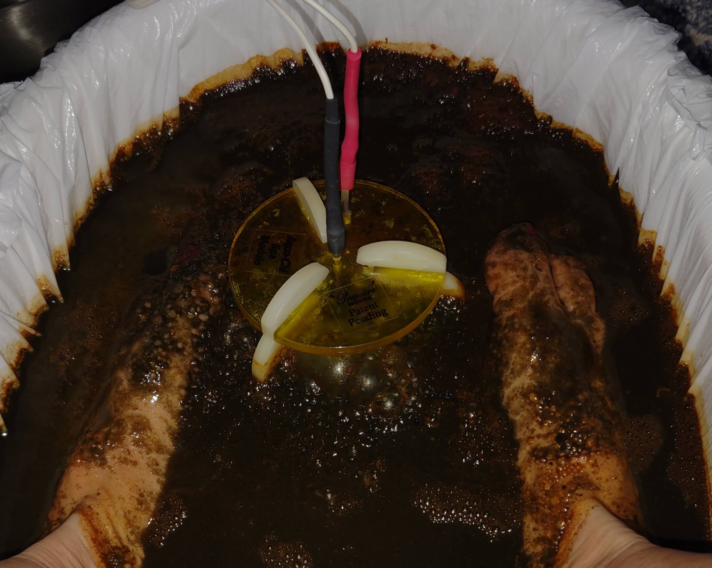 Foot Detox