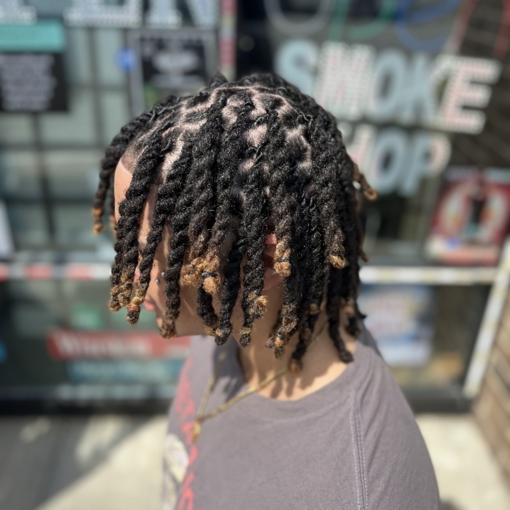 2 Strand Twists / Plaits at AJM BEAUTY LLC in Greensboro, NC