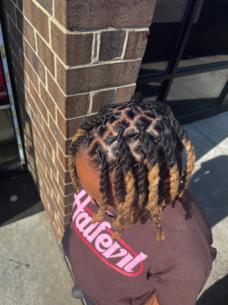 Retwist + 2 Strand Twists / Plaits