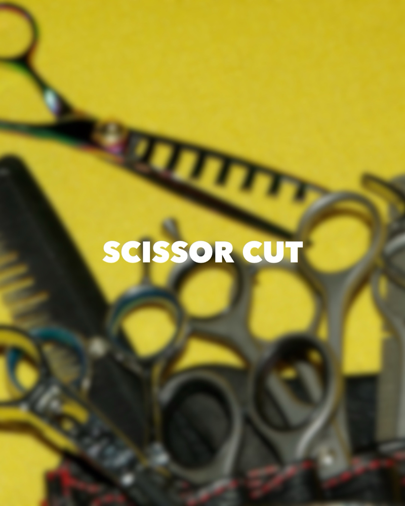 Scissor Cut