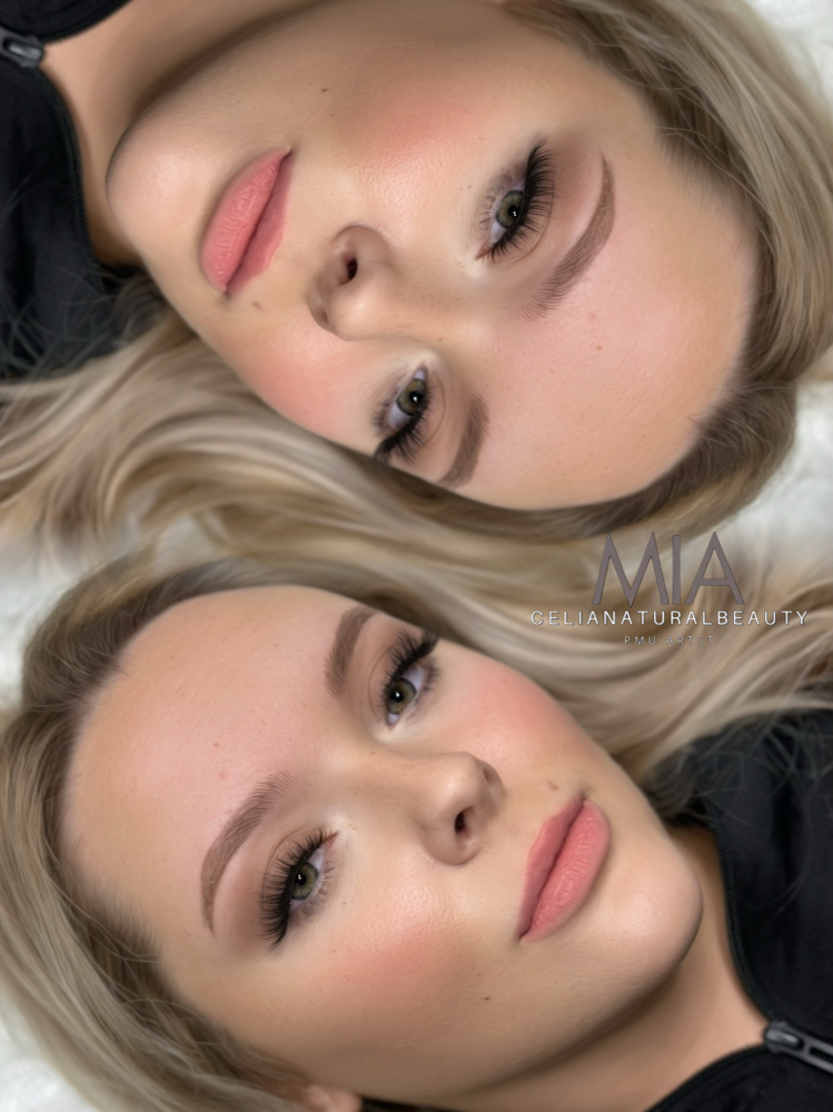 Combo Brows ( Ombre + Hairstrokes)