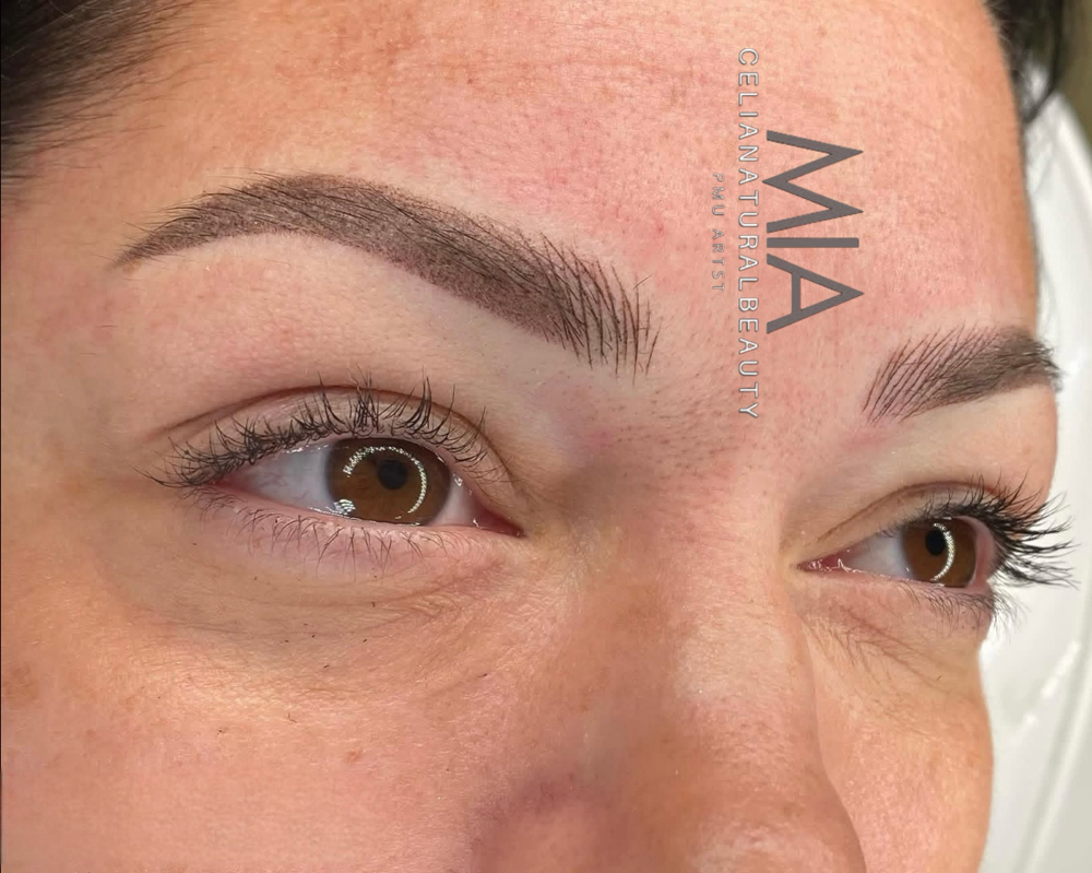 Combo Brows ( Ombre + Hairstrokes)