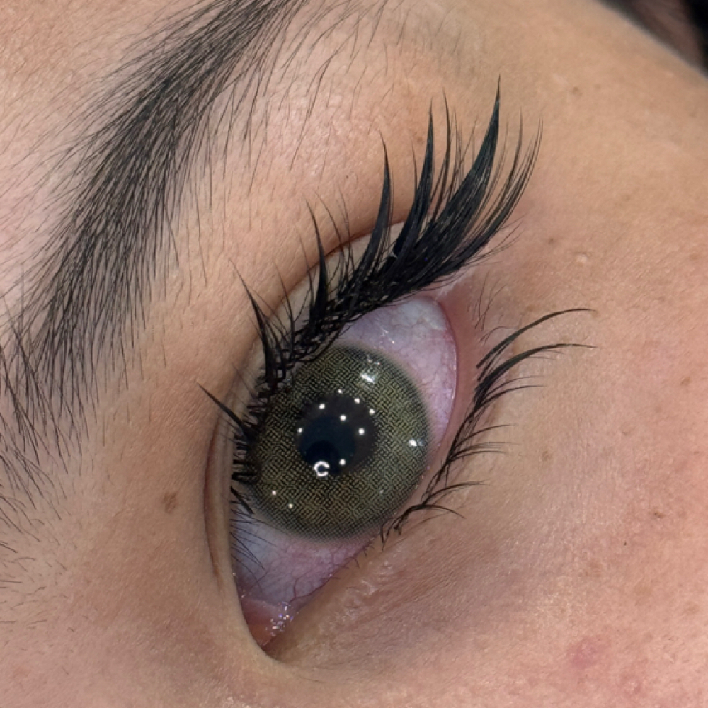 FOXY MANHUA LASH DESIGN NO REFILL at Sophie Brows And Lashes in Silver Spring, MD