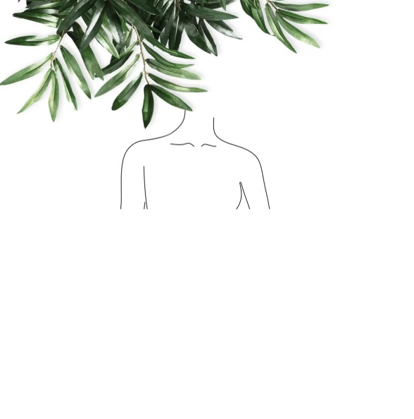 Chest (full)