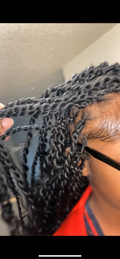 Small Senegelase/Island Twist