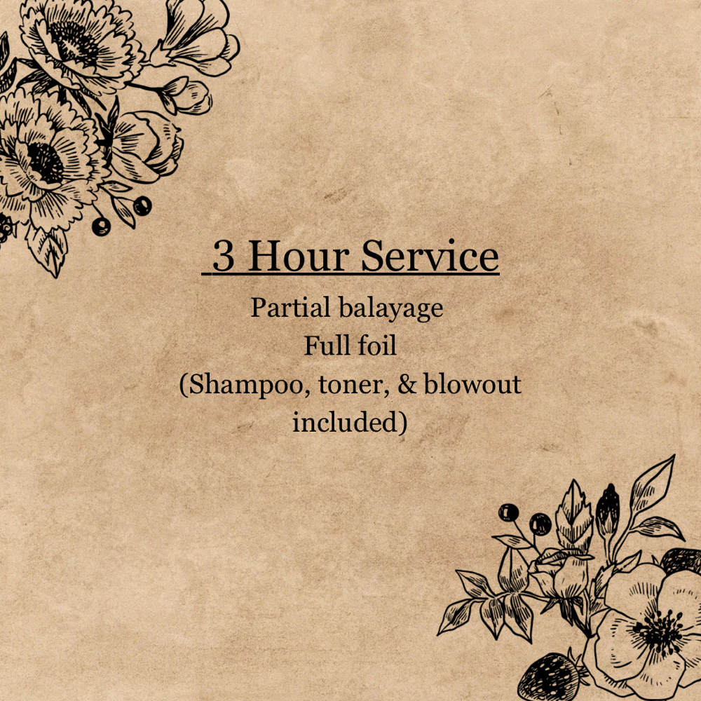 3 Hour Color Service at Dahlia Salon + Spa in Evans, GA