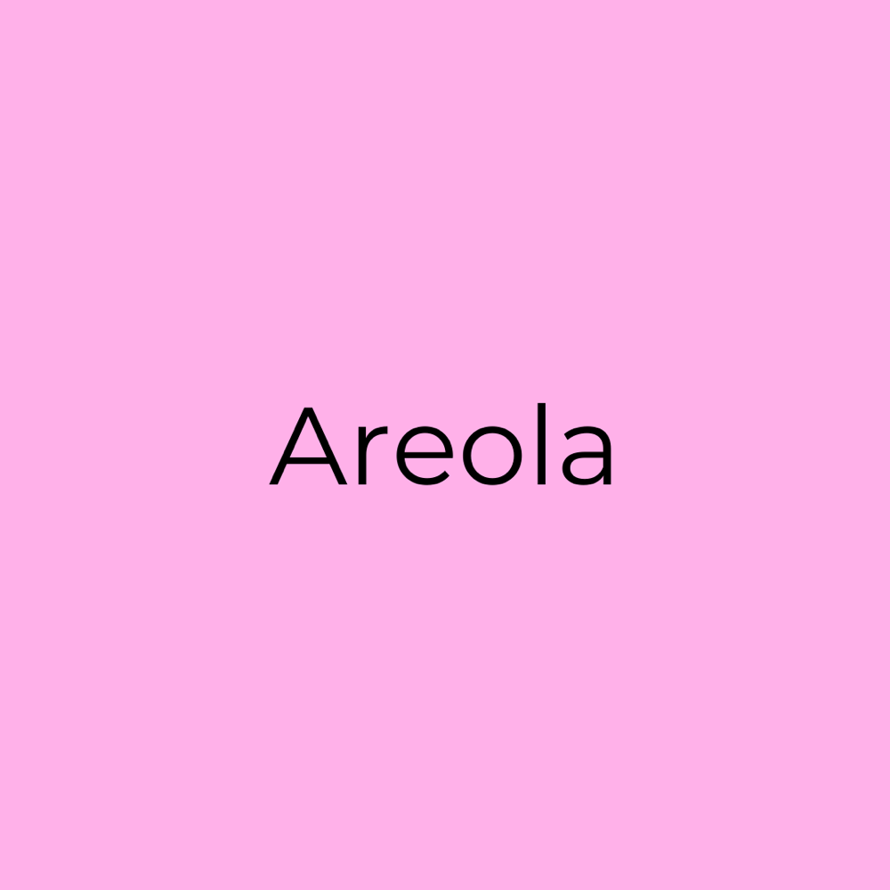 Areola