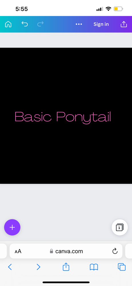 Basic Ponytail