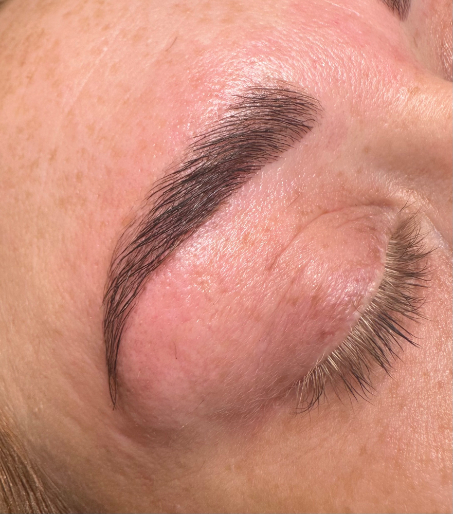 Eyebrow Wax & Tint