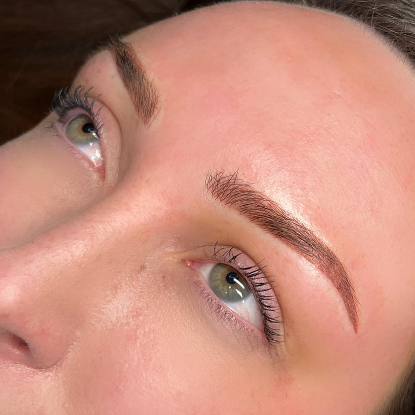 Powder Brows By Michaella