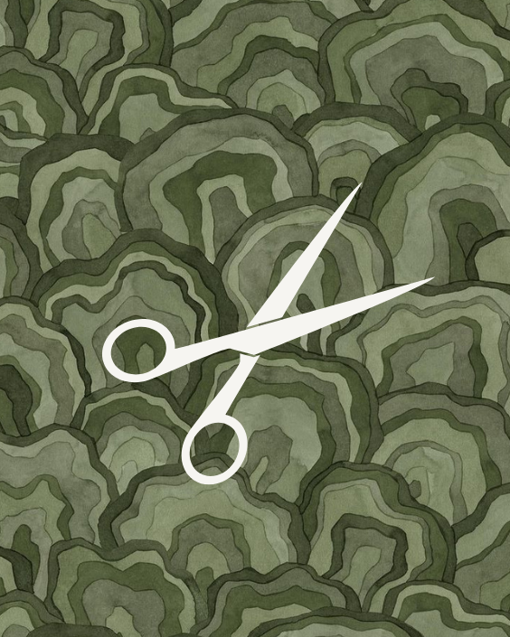 Mens Haircut at Studio Haley in Aurora, CO