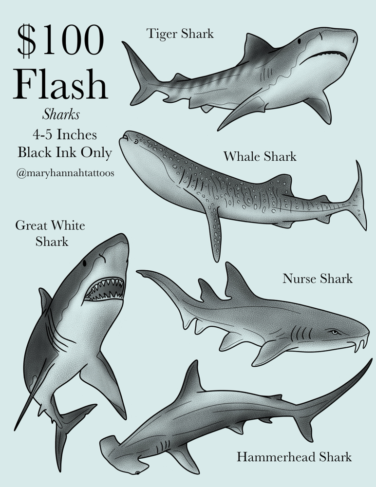 $100 Flash (Any Sheet)
