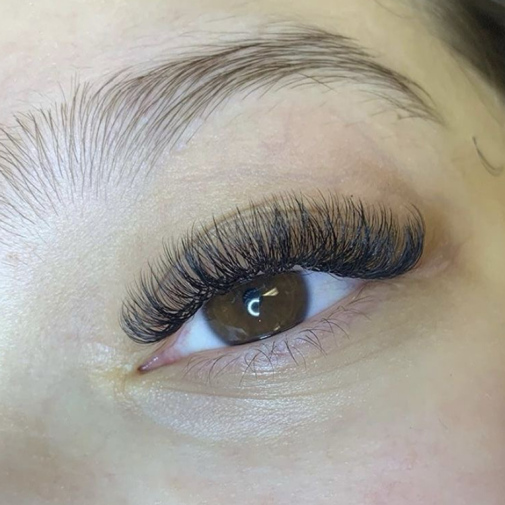 Volume Lash Full Set at Mary Brows & Lashes in Los Gatos, CA