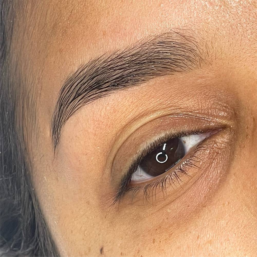 Microblading 1 Year TouchUp