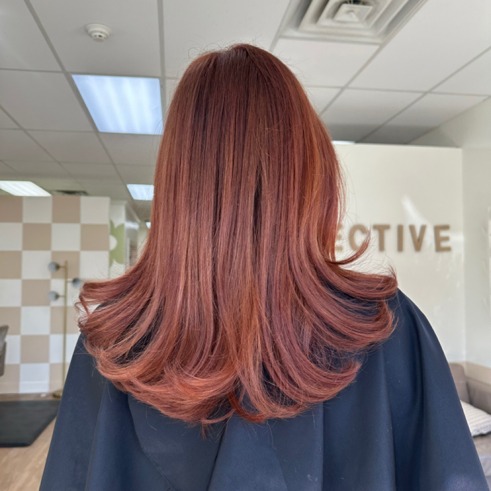All Over Color Touch Up at Beauty X Sammy in Plainfield, IL