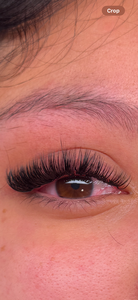 Hybrid Lashes (New)