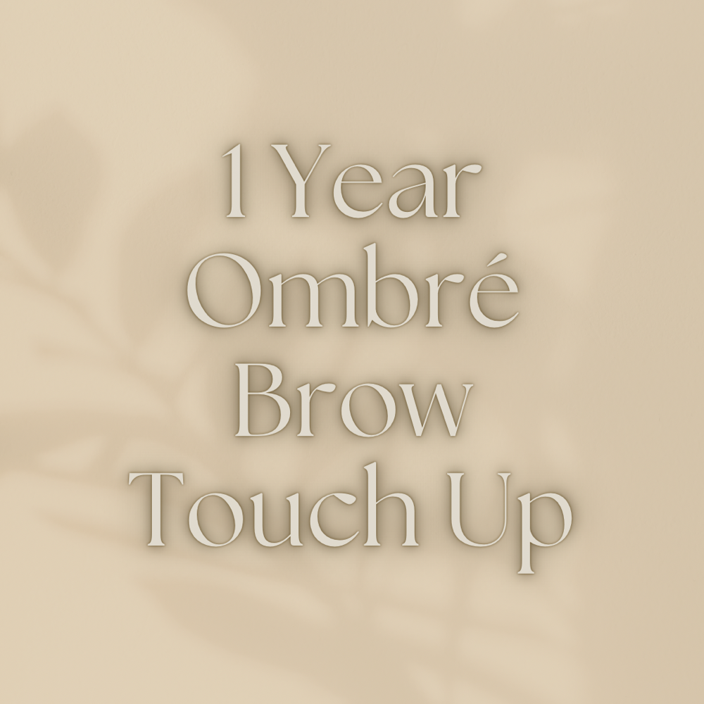 1 Year Ombre Brow Touch Up