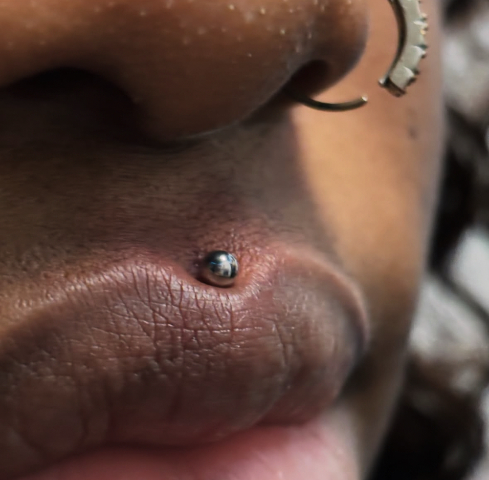 Medusa Piercing
