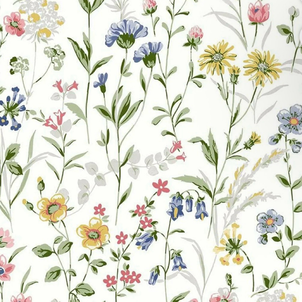 Brazillian Wax at Galluvs Beauty Salon & Spa in Akron, OH