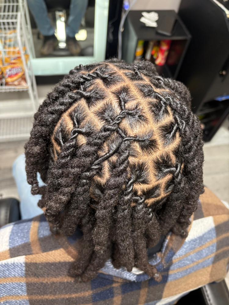Retwist and Style (wash Included)