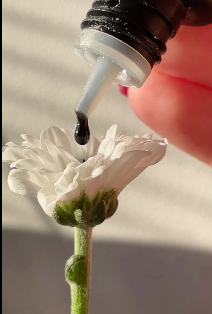 Eyelash Extensions - Volume Fill at Bloom Beauty Salon in Delano, CA