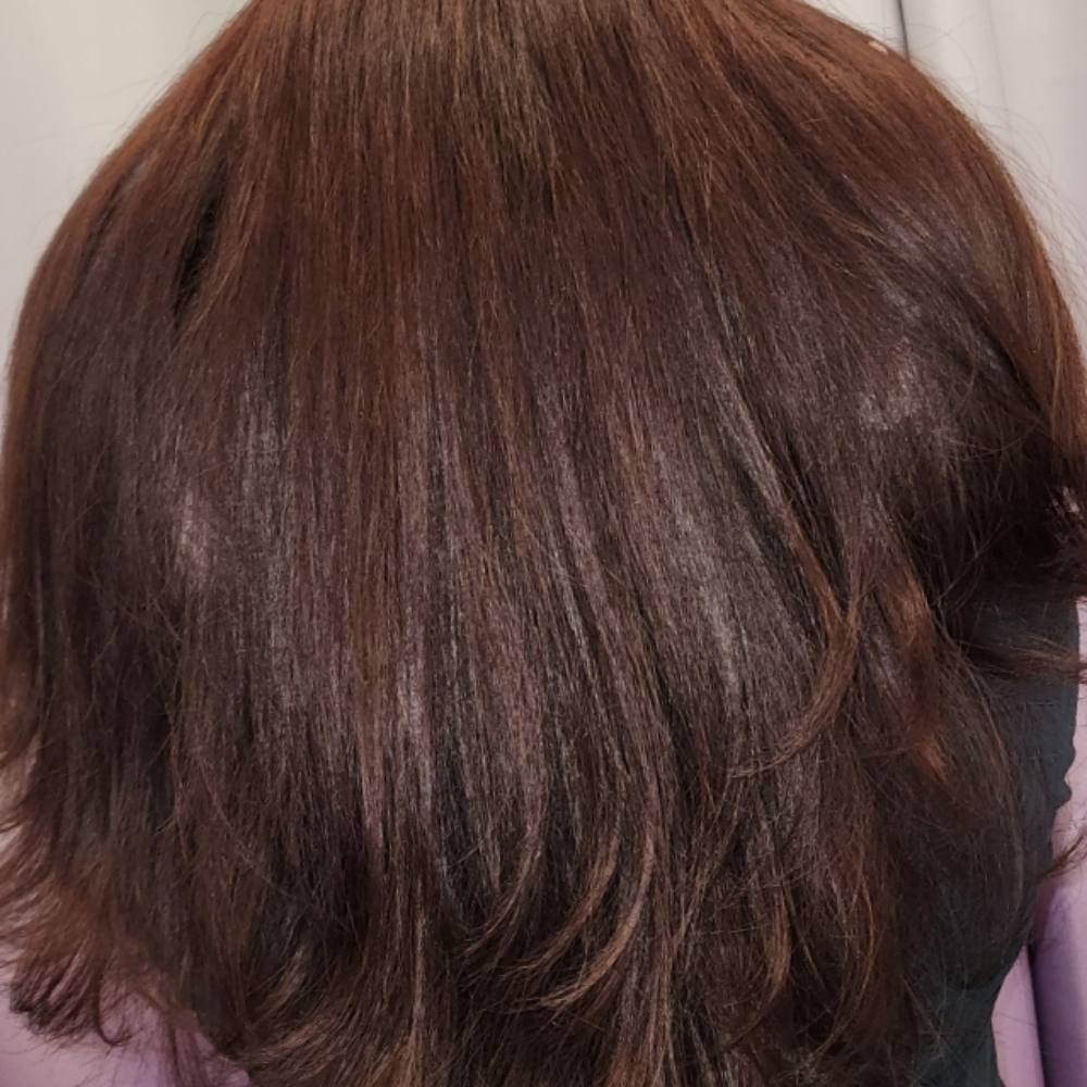 Full Color at The Phoenix Hairchemy Salon in San Jose, CA