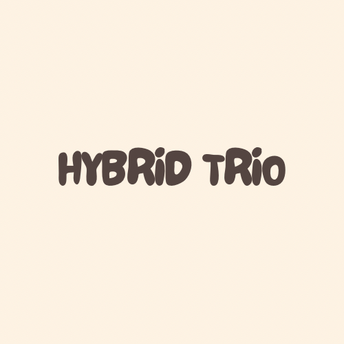 Hybrid Trio