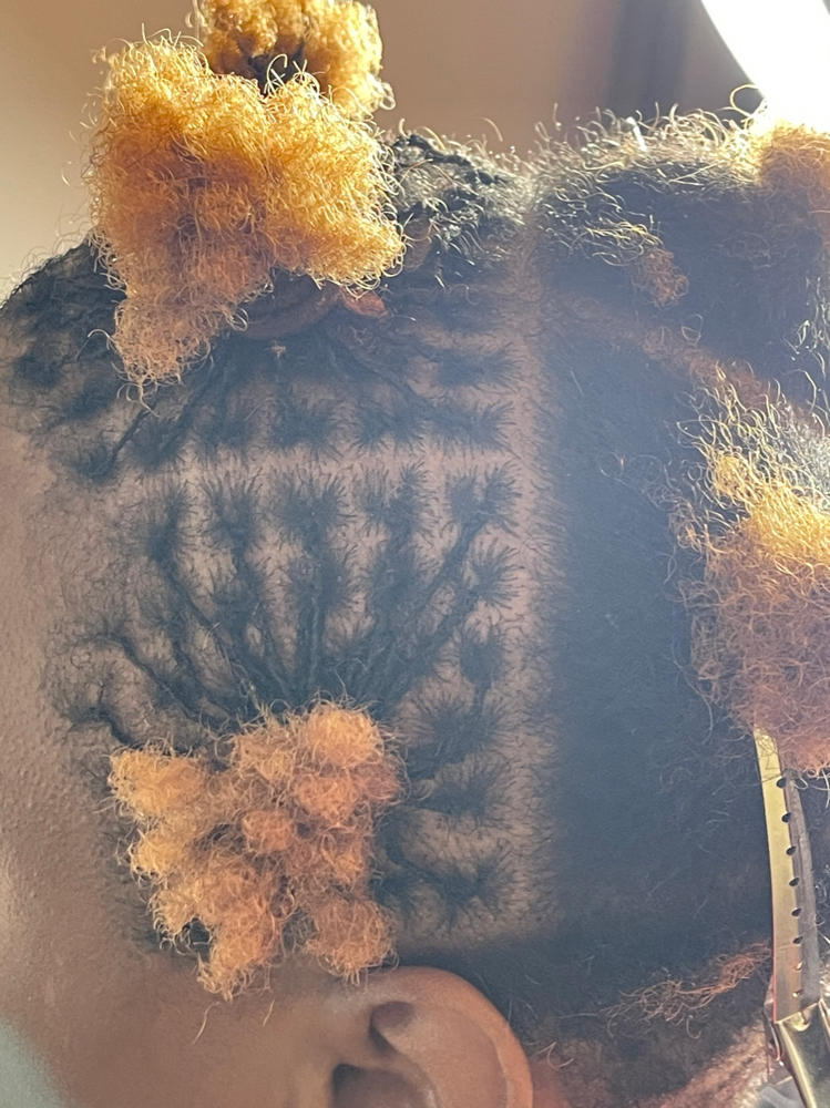 Micro/interlocks Establishment