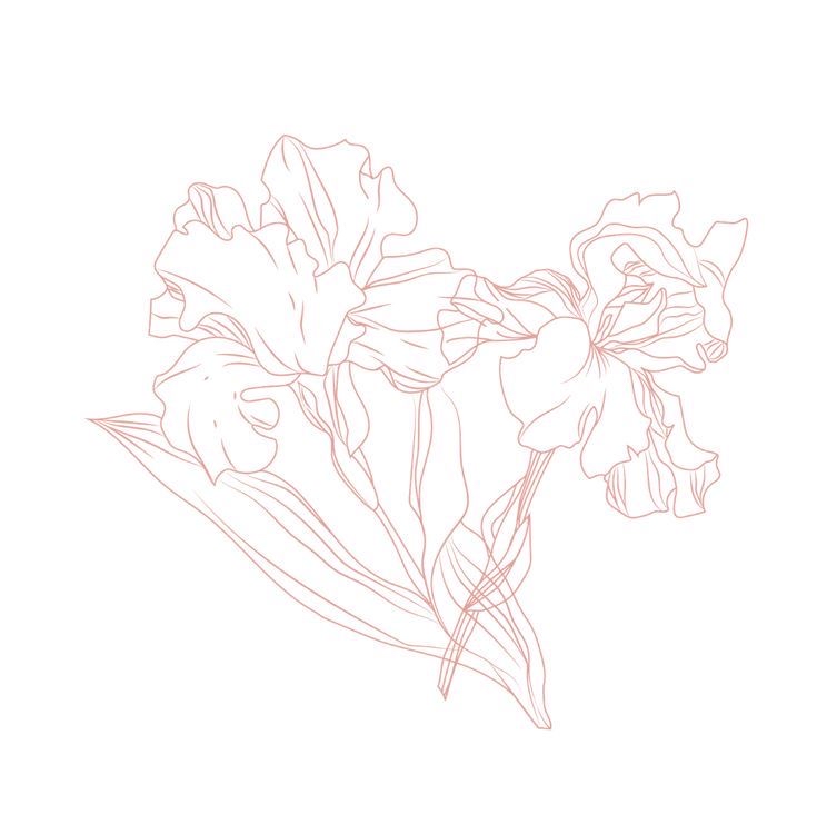 Base Color