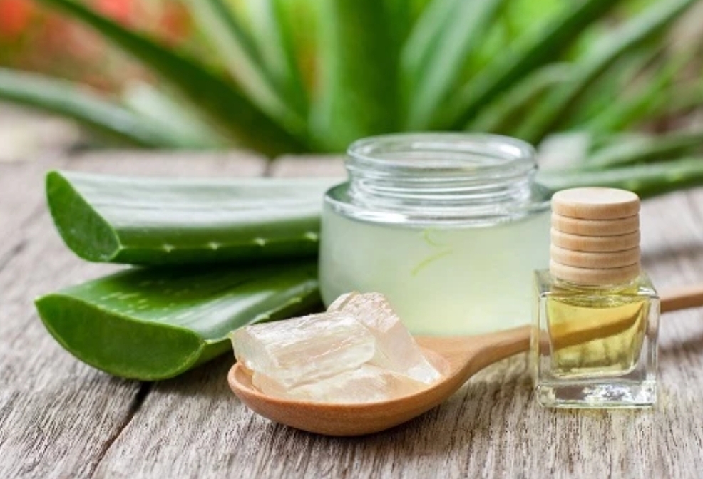 ALOE Vera Scalp Detox