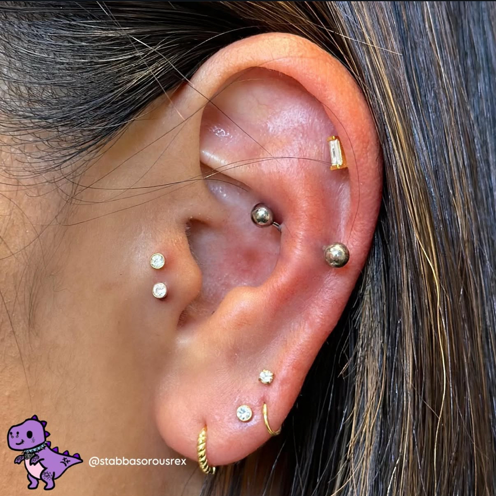 Double Tragus