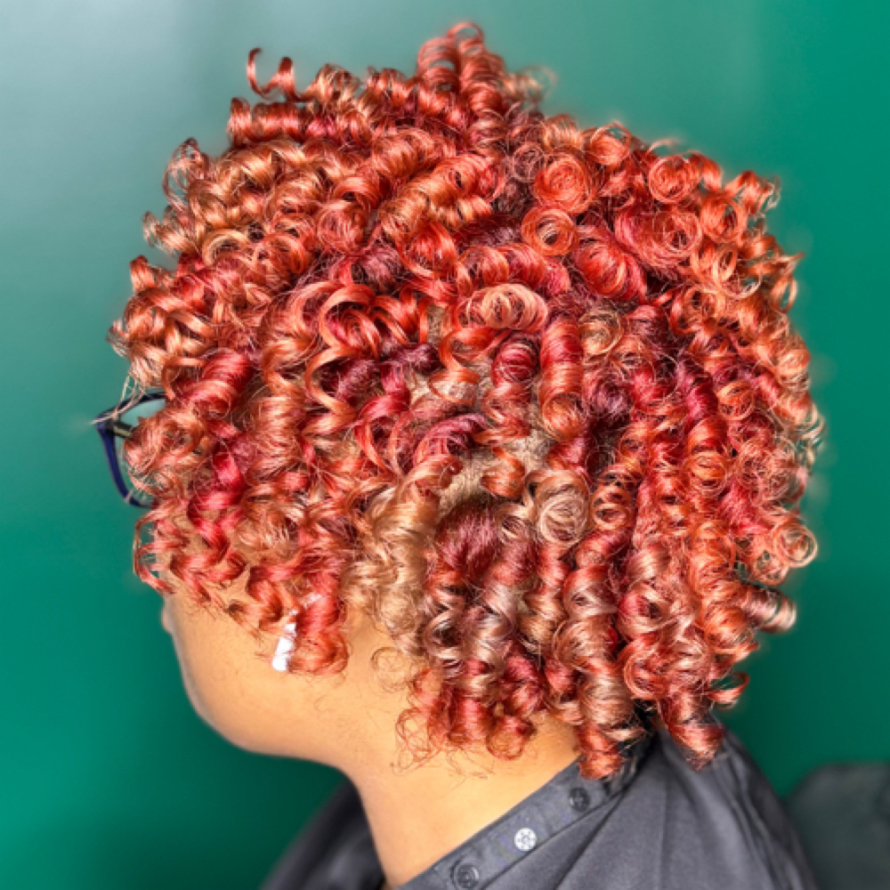 Signature Flexi Rod Set at Flair Beauty in Houston, TX