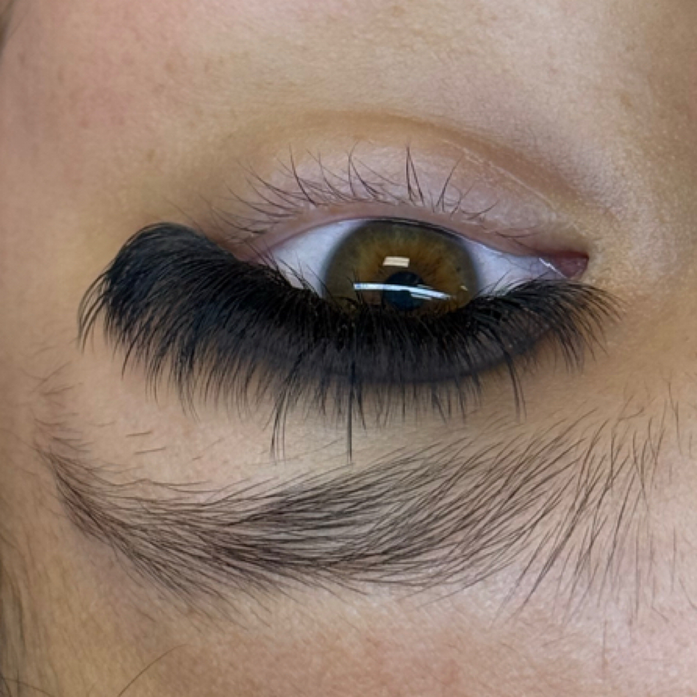 Mega Volume Wispy Set at Lash Extensions Studio By Brenda in Greeley, CO