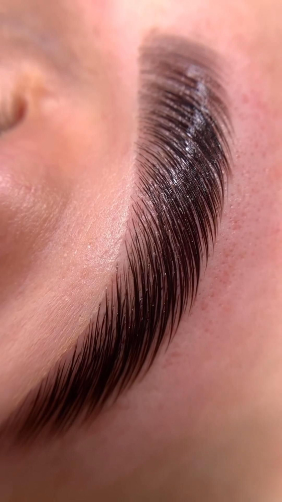 Brow Wax, Lamination, & Tint