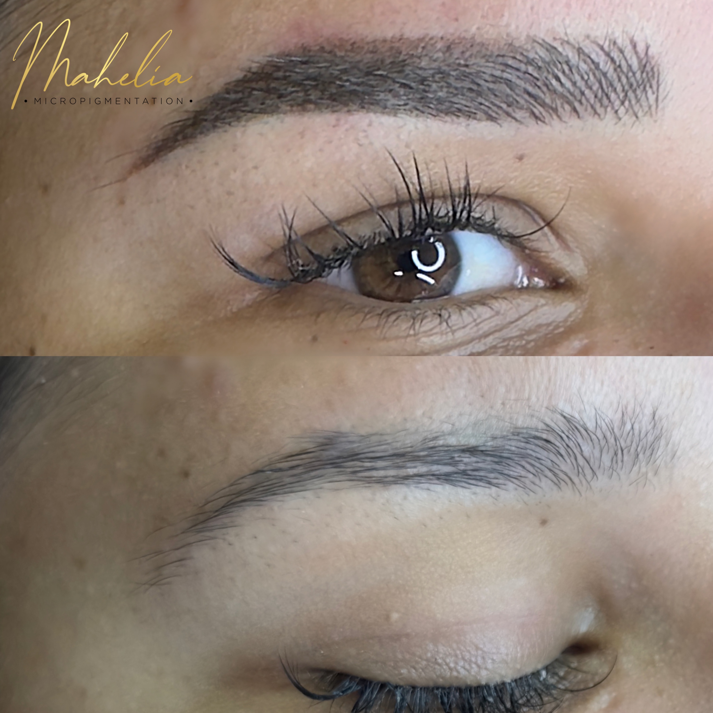 Touch Up 24 mo. from last session at Mahelia PMU Academy in Whittier., CA