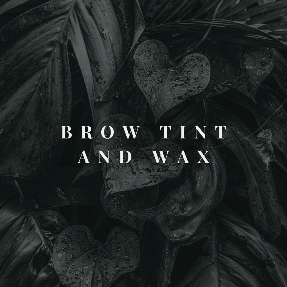 Brow Tint & Wax