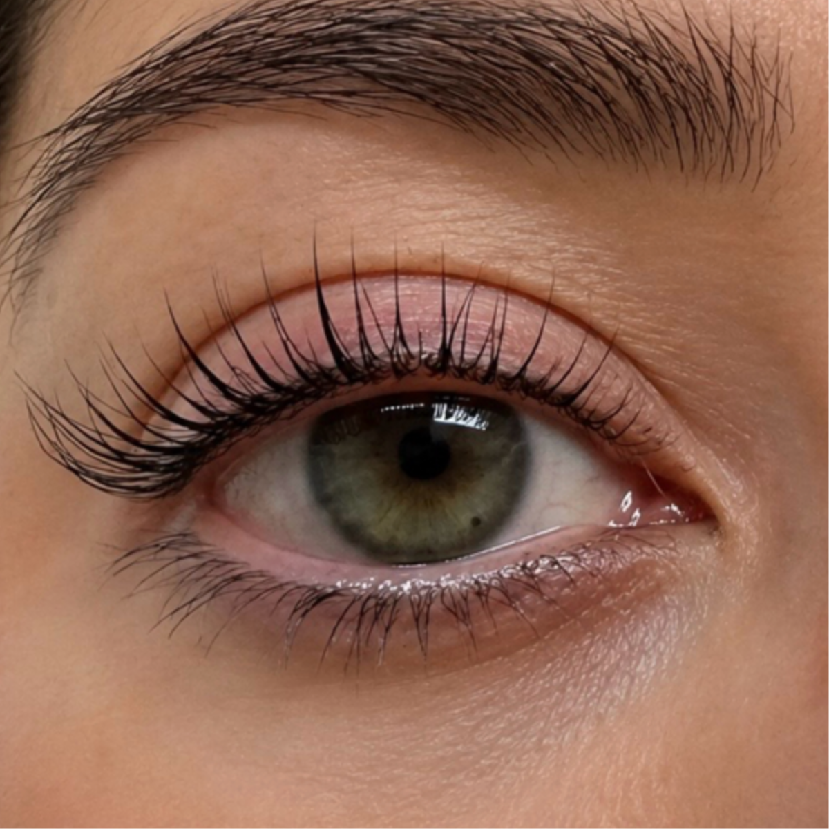 Korean Eyelash Lift & Tint at EverLash Georgetown in Washington, DC