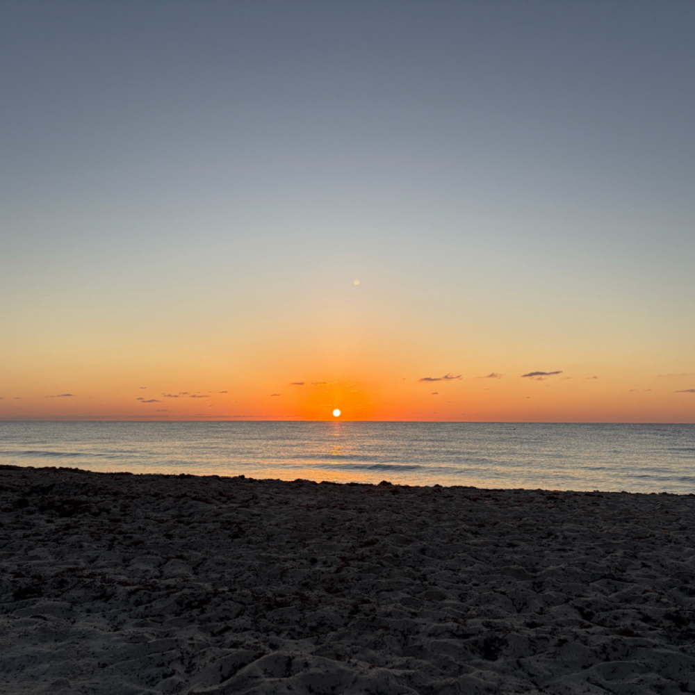 Post-Operative Recovery Consult at Ivyleigh Wellness in Pikesville, MD