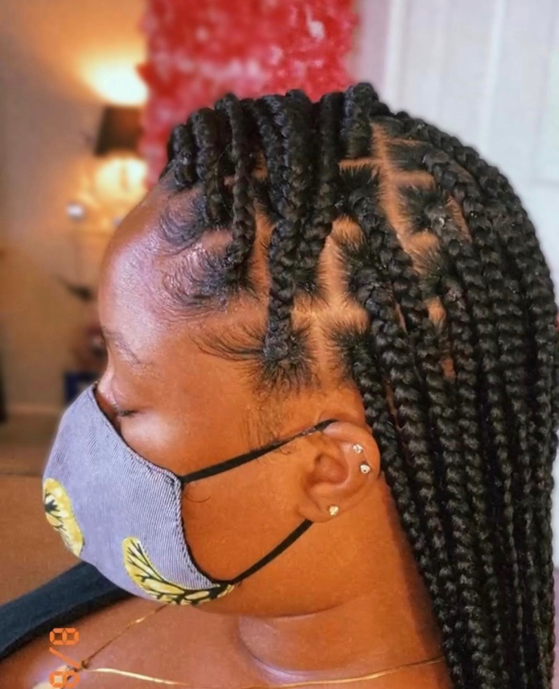 Medium/Small Box Braids