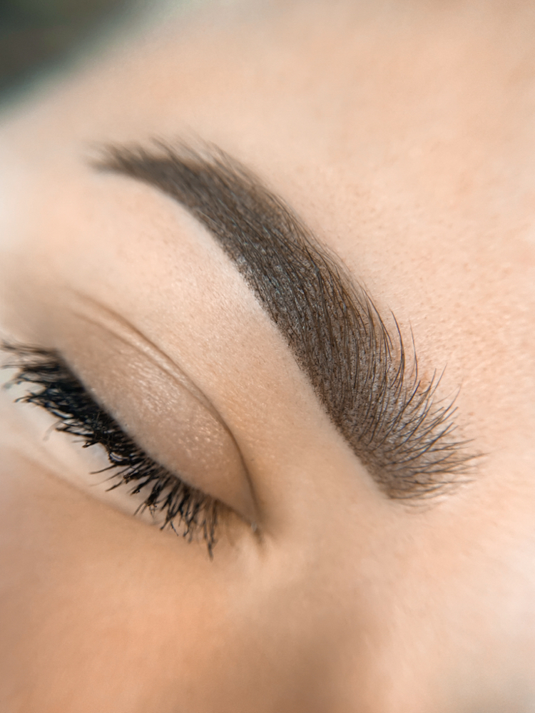 Annual Touch Up Brows