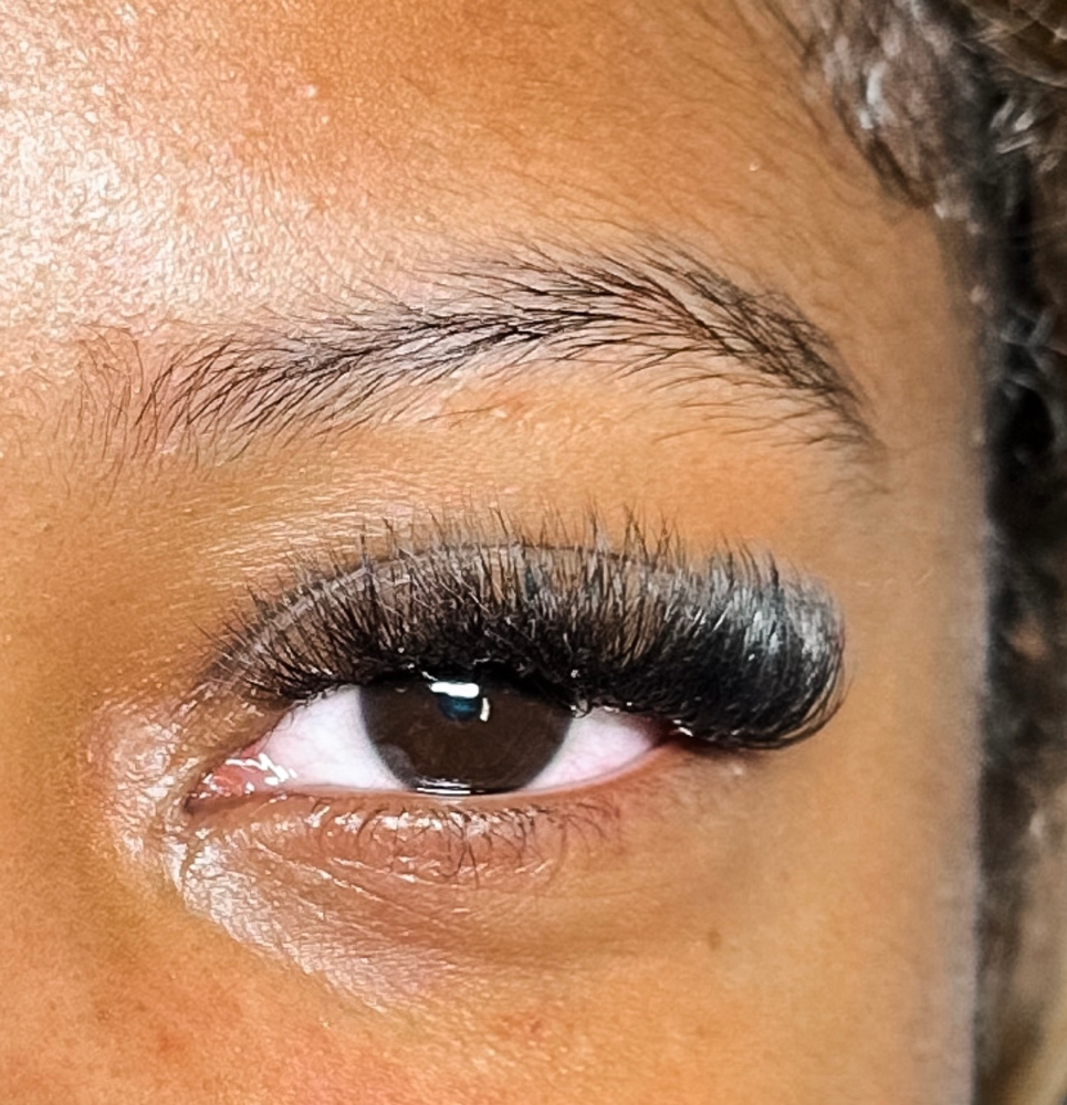 Mega Volume Lash Extensions