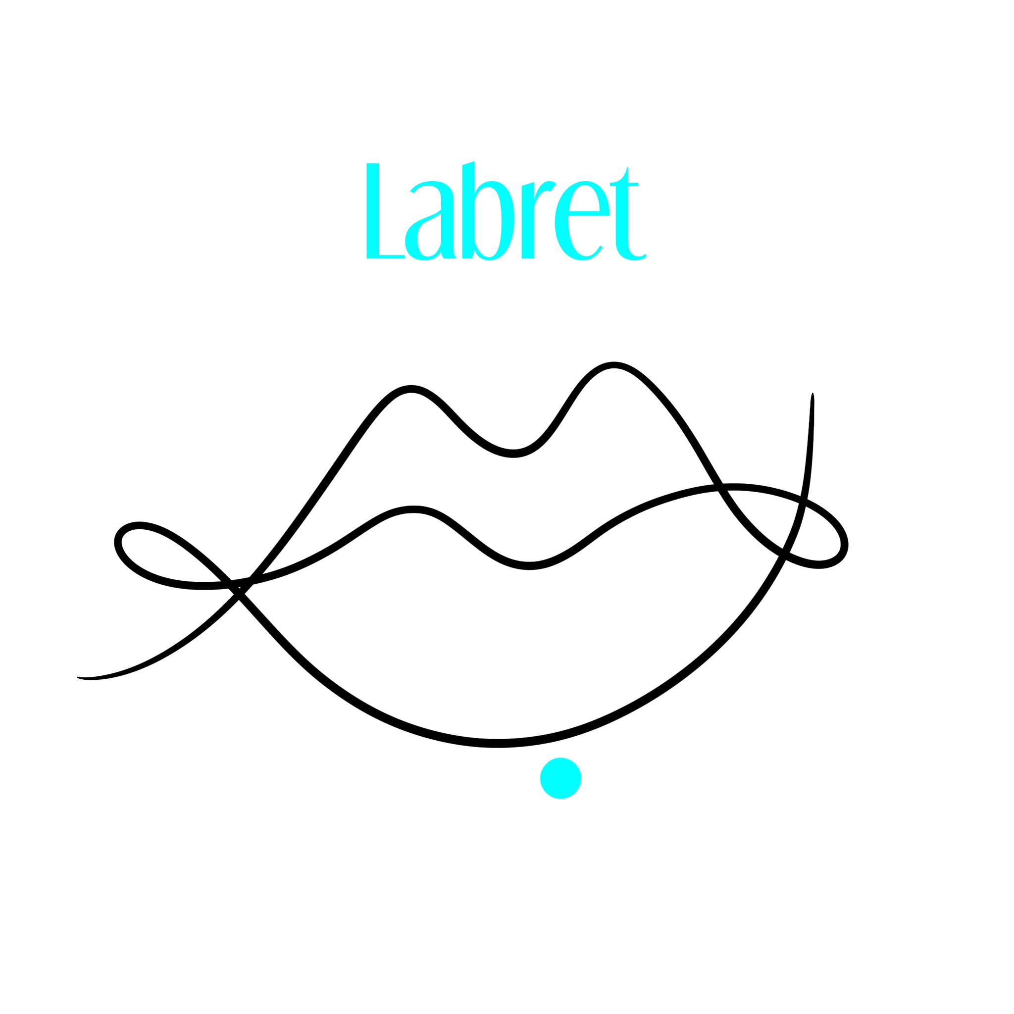 LIP (Lower): Horizontal Labret