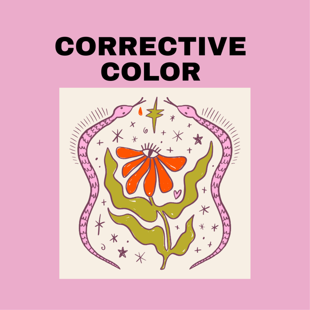 Corrective Color at ACE Collective Salon+Wellness in Pittsburgh, PA