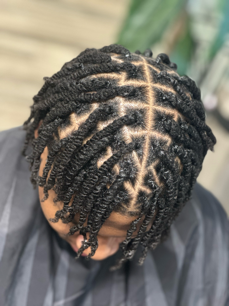Mini Twists