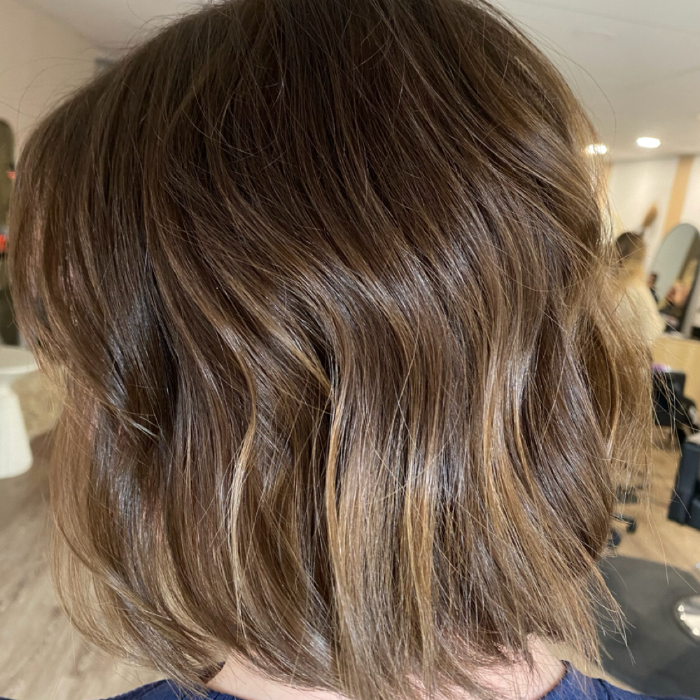 Grey Coverage + Haircut at Dakota Beach Gölden Salon & Co. in Plymouth, MI