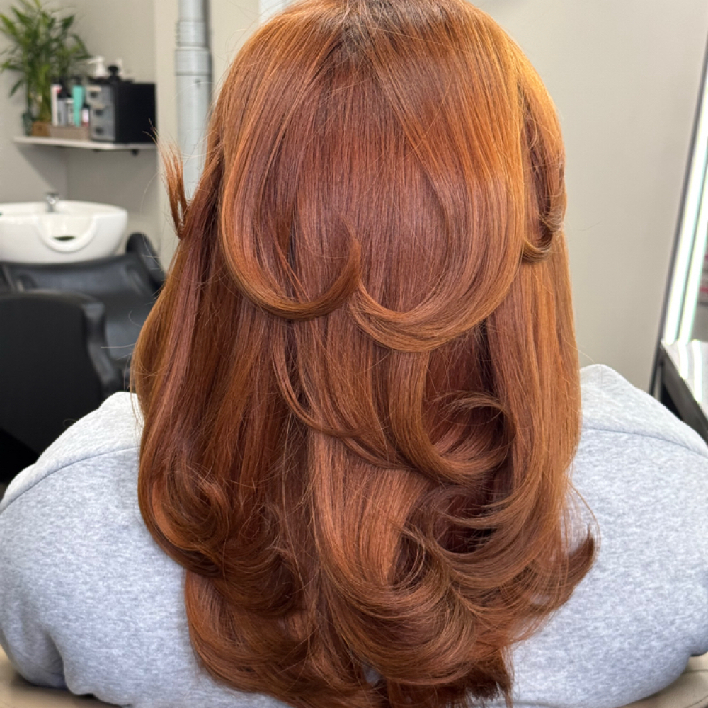 Wash, Cut & Blowdry at Solydified Salon in Nashua, NH